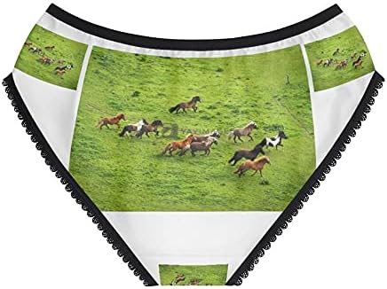 Herd Of Wild Pony Horses Panties, Herd Of Wild Pony Horses Underwear, Briefs, Cotton Briefs, Panties For Women