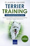 Das sind die 10 beliebtesten Terrier 4 Goldenfellnase Terrier Training – Hundetraining für Deinen Terrier: Wie Du durch gezieltes Hundetraining eine einzigartige Beziehung zu Deinem Terrier aufbaust (Terrier Band, Band 2)
