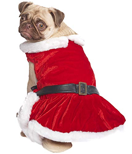 Parisian Pet Dog Cat Pet Xmas Holiday Christmas Mrs Claus Winter Dress, Xs #TOP2