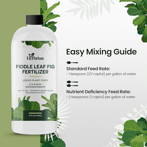 16oz Fiddle Leaf Fig Plant Food - Makes 96 Gallons of Fertilizer, Liquid Houseplant Fertilizer for Ficus Plants, Ideal Fiddle Leaf Fertilizer, 6-2-4 NPK Ficus Plant Food for Strong, Healthy Growth