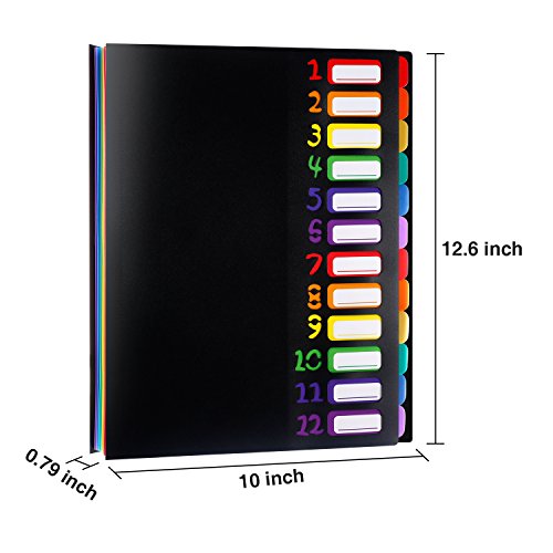 Shappy 12 Pocket Expanding File Folder With Rainbow File Folders Organizer Multicolored Pockets A4 Size Document Organizer For Students Offices(A4/Letter Size) #TOP1