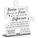Activity Director Appreciation Gifts, Thank You Gifts for Activity Director Week Birthday Christmas Team Office Ornament Decor Stainless Steel Puzzle Piece Decorative Signs Plaques Ann31