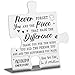 Activity Director Appreciation Gifts, Thank You Gifts for Activity Director Week Birthday Christmas Team Office Ornament Decor Stainless Steel Puzzle Piece Decorative Signs Plaques Ann31