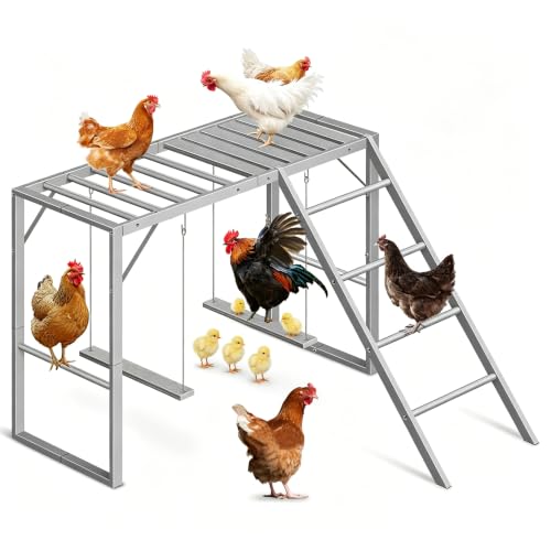Chicken Coop Perches with Swing Chicken Toys for Hens 2 Ladders Metal Chicken Run Accessories for Healthy Pets Durable & Easy Clean Poultry Playground for Backyard Farm