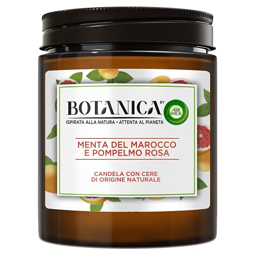 Airwick Botanica Vela con cera de origen natural, vela perfumada de 250 gr de fragancia de menta de marruecos y pomelo rosa, ambientador Cover