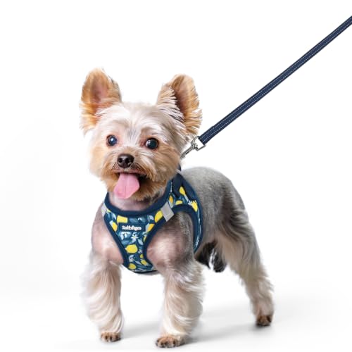Image of rabbitgoo Dog Harness Small Sized and Leash Set, Step-in Puppy Pet Vest