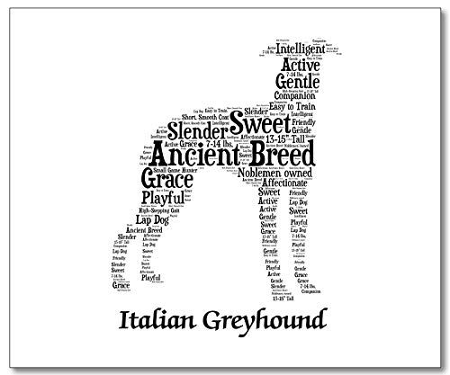 Amazon.com: Italian Greyhound Dog Lover Gifts for Women, Men ...