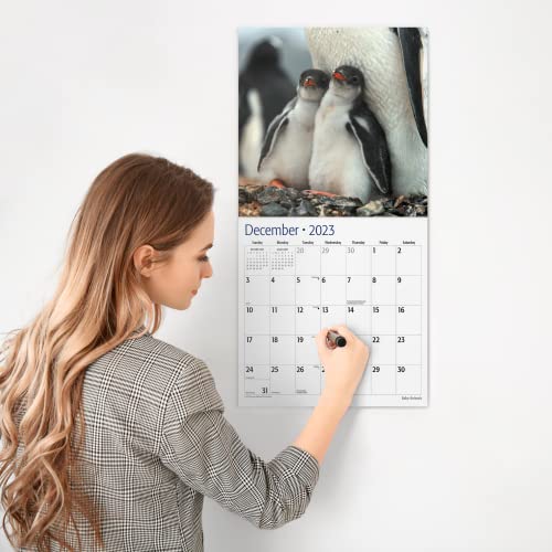 Red Ember Baby Animals 2023 Hangable Monthly Wall Calendar | 12" X 24" Open | Thick & Sturdy Paper | Giftable | Kids Adorable Animals #TOP3