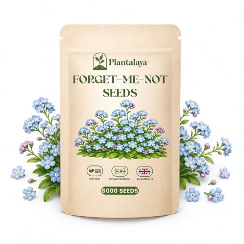 Forget Me Not Seeds (Myosotis) Blue Cottage Garden Flower Seeds Easy to Grow Outdoor Plants for Borders & Pots Shade Tolerant Pollinator Friendly for Bees & Butterflies Seed Pack