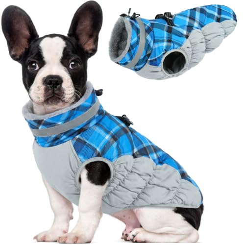 Image of Lelepet Dog Winter Coat Waterproof Small Dog Coat with Harness Built in