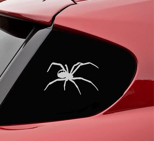 Tarantula Spider Cage Pet Food Vinyl Decal Sticker (Satin Silver) #TOP7