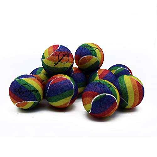 Image of Tennis Balls, Magicorange 12 Pack Advanced Training Tennis Balls Practice Balls, Pet Dog Playing Balls, Come with Mesh Bag for Easy Transport, Good for Beginner Training Ball (Rainbow)