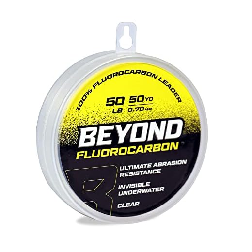 41AELCZ0AUL._SS520_ Best clear braided fishing line