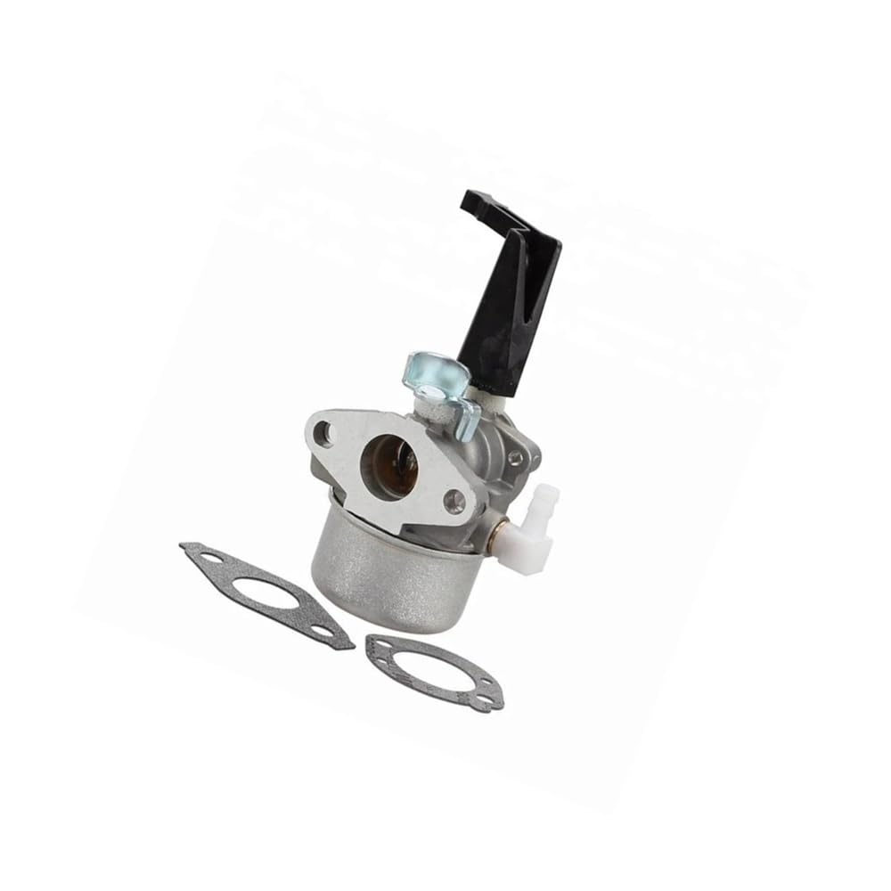 Carburateur 696065 contre les fuites d'essence et calages des moteurs 697422 110402