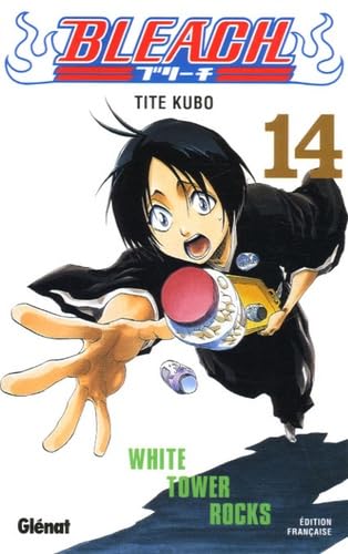 Bleach - Tome 14: White tower rocks