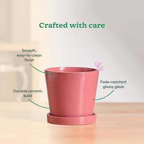 Image of UGAOO Table Top Ceramic Flower Pot for Indoor Plants, 4 Inch - Magenta
