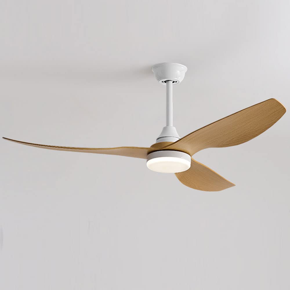 Ventilateur de plafond lumière salon chaleureux et repas sereins