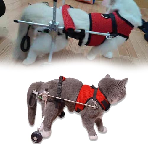 Pet Mobility Aid Wheelchair for Small Breeds Cats, Adjustable Hind Leg Support…