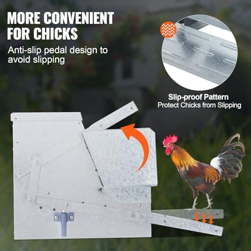 Automatic Chicken Feeder, 25 lbs Capacity Feeds 10 Chickens up to 11 Days, Galvanized Steel Poultry Feeder - Thumbnail 4