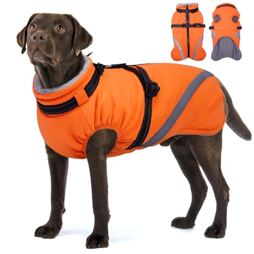 Image of BRKURLEG Dog Winter Jackets for Large Dogs, Dog Coat with Harness Built in, Dogs Snowsuits with Zipper, Waterproof Windproof Pet Puffer Jacket Fleece Vest for Labrador, Dalmatian, Orange XXL