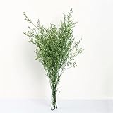 EboLD 50g Natural Preserved Limonium Flower Dried Lover Grass Flower Eternal Life Flowers Arrangement For Home Wedding Decoration-green-50g