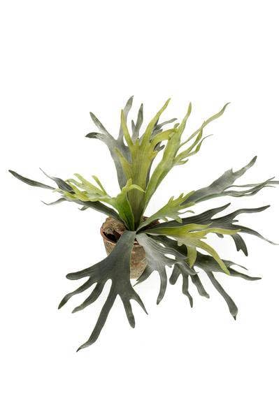 Kunstpflanze Hirschhorn Farn Geweihfarn 50cm