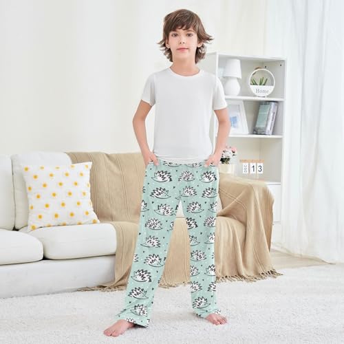 Boys' Pants Cute Simple Hedgehog Pattern Long Bottoms Jogger Pants Elastic Waist Trousers with Pockets S-XL3