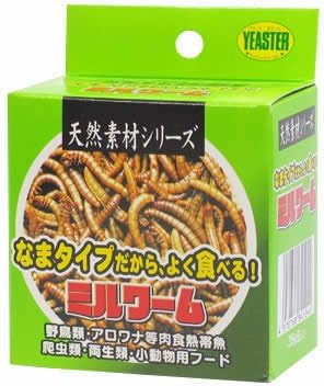 Amazon イースター 天然素材缶 ミルワーム 35g イースター フード 通販