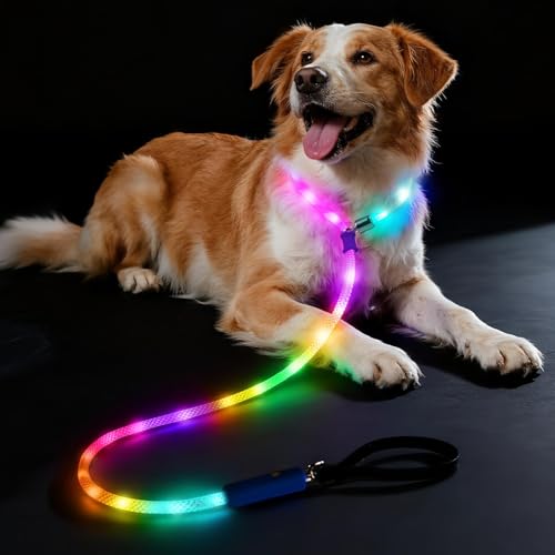 Xeuch Light Up Dog Leash, LED Slip Lead Leash for
