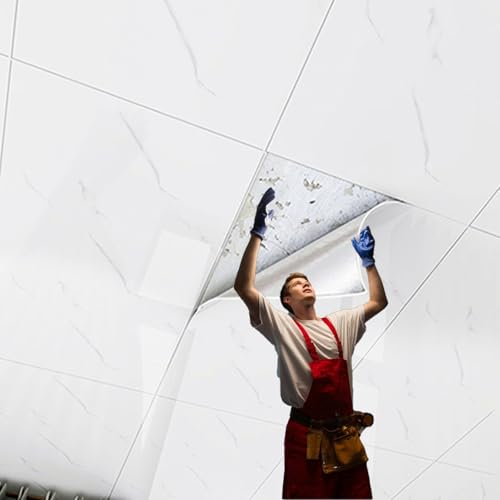 Self Adhesive Decorative Ceiling Tiles, Insulation Wall Stickers/Cutting Wall Panels for Interior Wall Decor, Residential Space Suspended Wallpaper(B,10 pcs cover 34.4 sqft)