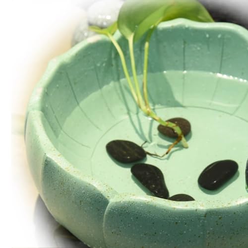 Bonsái circular sala de estar con fuente de agua de escritorio 5