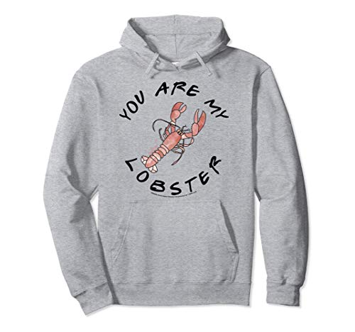 Friends You Are My Lobster Pullover Hoodie