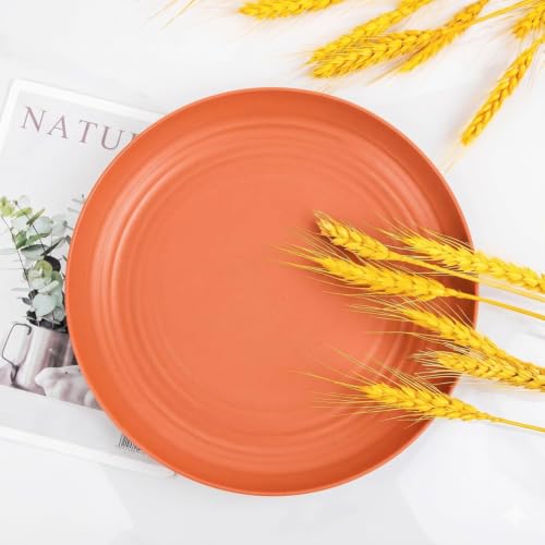 Image of Wheat Straw Dinner Plate Set, Eco-Friendly Dinner Set Round Serving Plate, Dishwasher & Microwave Safe - Perfect for Dinner Dishes Deep Plates Easy to Clean (Orange, 20 cm)