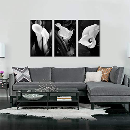 Hardy Gallery Floral Artwork Nature Flower Picture: Calla-Lily Print On Canvas Set For Wall Art (20 Inch X 34 Inch X 3 Panels) #TOP4
