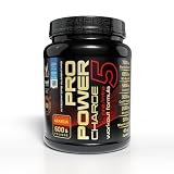 Net Integratori PRO POWER CHARGE 5 – Gusto Arancia 600g – Integratore Pre e Intra Workout con Aminoacidi Creatina e Carboidrati a rilascio differenziato e Vitamine B3 e B5 (Quali®-B)