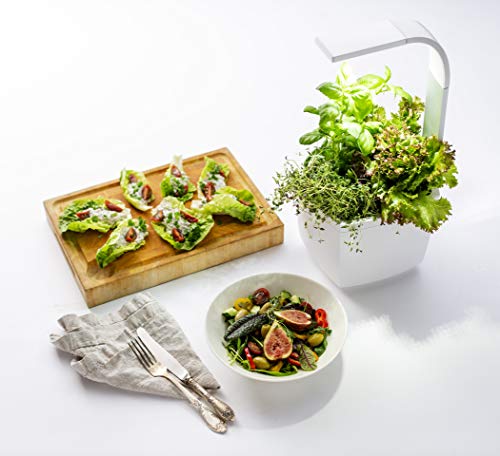 Tregren T3WHITE LED T3 Kitchen Garden, weiß, 21 x 18 x 44 cm - Image 7