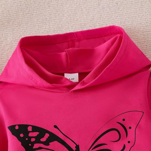 Image of Girls Clothes Fall Winter Toddler Outfits Leopard-print Hoodie Sweatshirt + Sweatpants 2 Piece Set 4-12 Years
