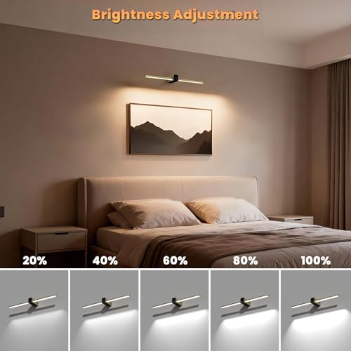 Lightbiz Picture Light for Wall 20inch, 10000mAh Rechargeable Battery Operated Cordless Dimmable Wall Lights for Picture on Wall with Remote Timmer, Picture Lights for Gallery Artwork, Paintings
