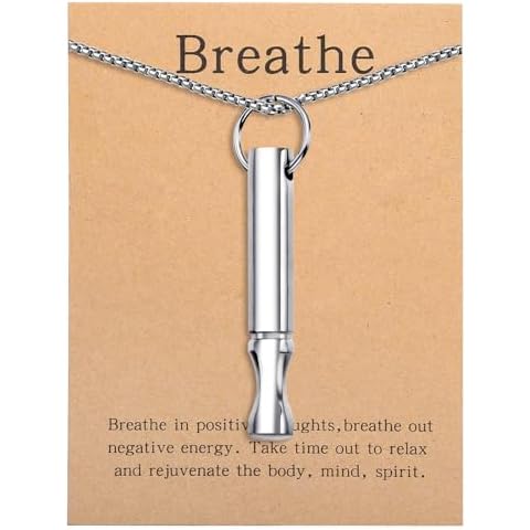 BOLAGTIER Anxiety Breathe Necklace Mindfulness Breathing Necklace Stress Relief Stainless Steel Pendant Necklace for Women Men (Rotundity, Steel B) Cover