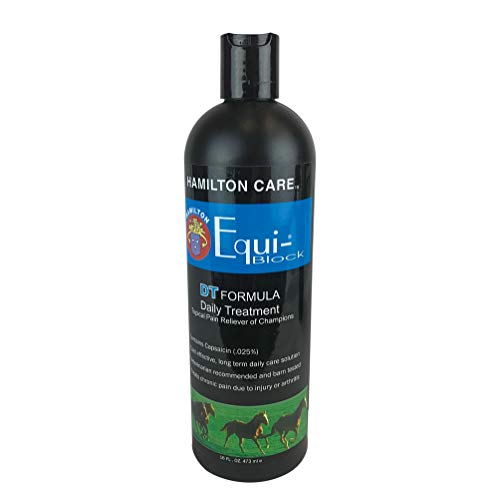 Miracle Coat Equi-Block DT, Daily Treatment, Formula Pain Reliever for Horses, 16-Ounce