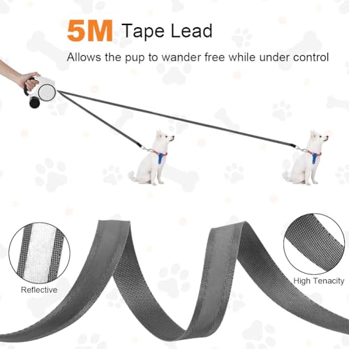 Aomig Rollleine Hunde Hundeleine für Kleine Große Hunde Ausziehbar mit Lampe, Reflektorstreifen, Anti-Rutsch-Griff, Schnellbremskno Einziehbar Dog Leash Training Spaziergänge Gurt Hunde (Weiß-5m-30kg)