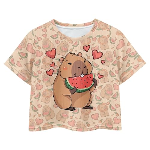 Image of Girls Crop Tees Crew Neck Casual Short Sleeve T Shirts Kids Loose Soft Comfortable Tees Blouses Shirt for Little Girl