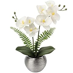 White Orchids Sliver Vase