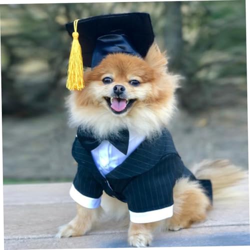 Set de gorro y corbata para graduación de perro talla L miniatura 5