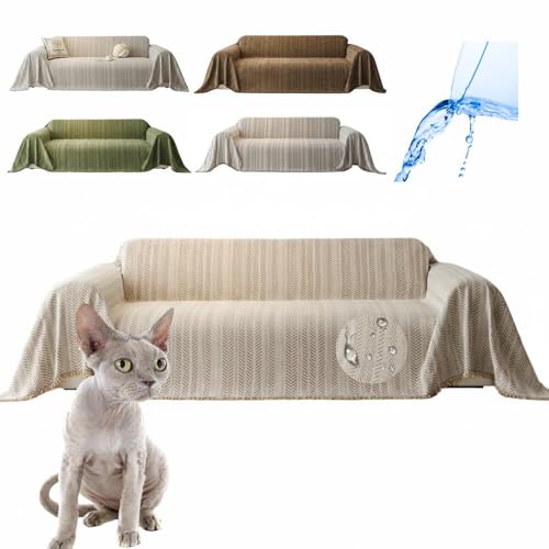 Lifetips f{bNX Devon Rex \t@[Jo[ k  􂦂 h }`Jo[ 2l| 3l| It IȂ ~ Eh~ LΉ lGʗp ix[Wj i130180CMj