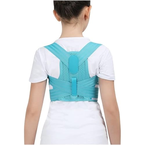 qp Lwp wT|[gu[X ɂ݊ɘa \tg`OȗpRZbg   Ғ ŃT|[gxg(Blue,M)