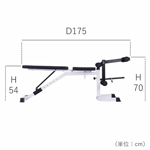 BODY DESIGN レッグフラットベンチ