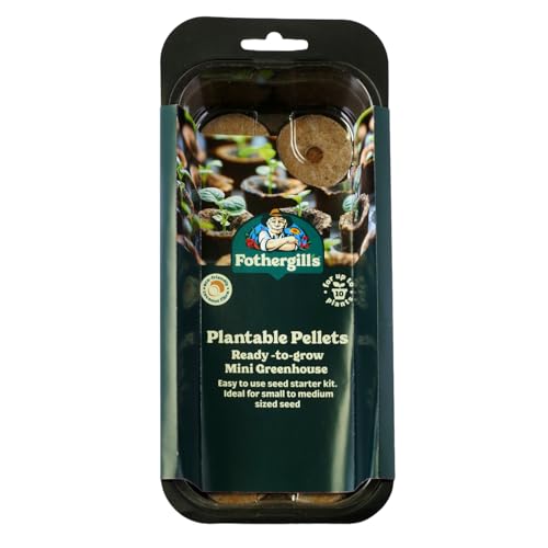 How to use seeds in midjourney How to use seeds in midjourney