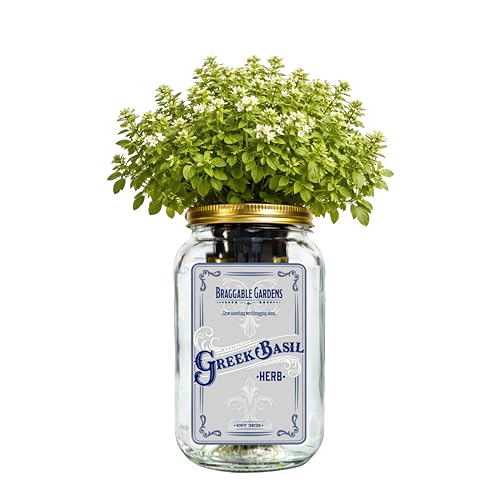 Braggable Gardens Greek Basil Indoor Herb Garden Kit – Mason