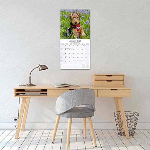 2022 2023 Welsh Terrier Calendar - Dog Breed Monthly Wall Calendar - 12 X 24 Open - Thick No-Bleed Paper - Giftable - Academic Teacher's Planner Calendar Organizing & Planning #TOP4